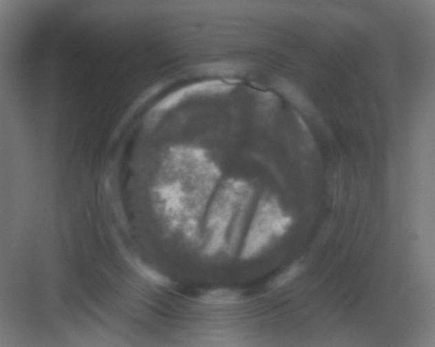 X0000081390064200702090048