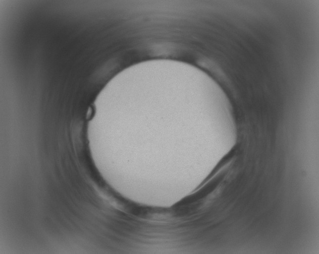 X0000081390066200702090048