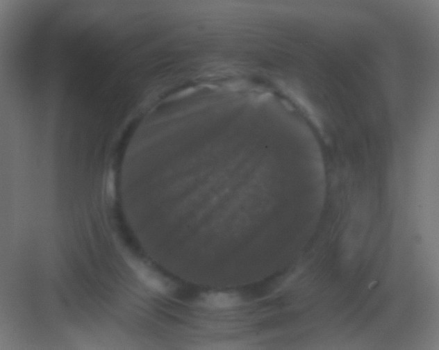 X0000081390067200702090048