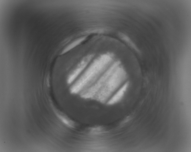 X0000081390068200702090048