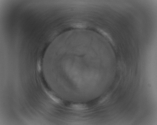 X0000081390069200702090048