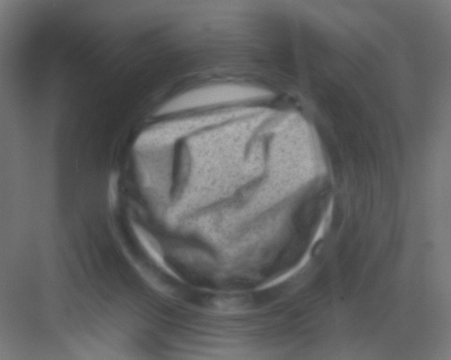 X0000081390070200702090048