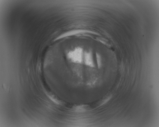 X0000081390072200702090048