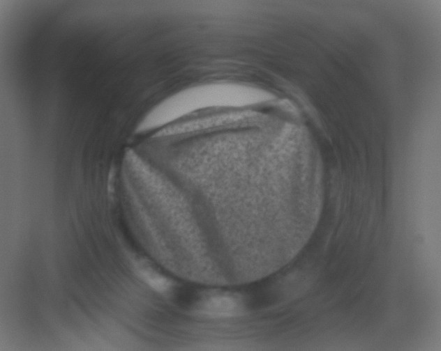 X0000081390073200702090049