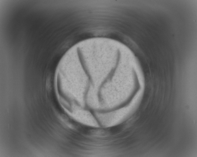 X0000081390074200702090049