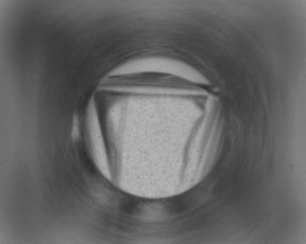 X0000081390075200702090049