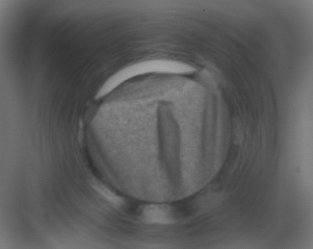 X0000081390077200702090049