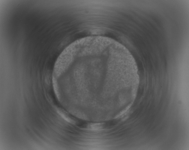 X0000081390078200702090049