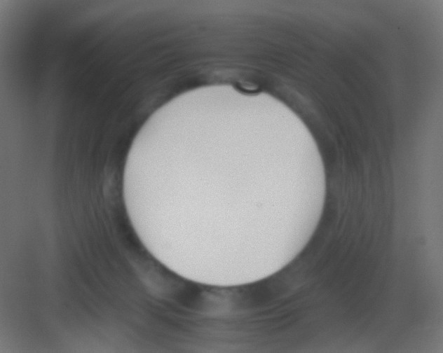 X0000081390079200702090049