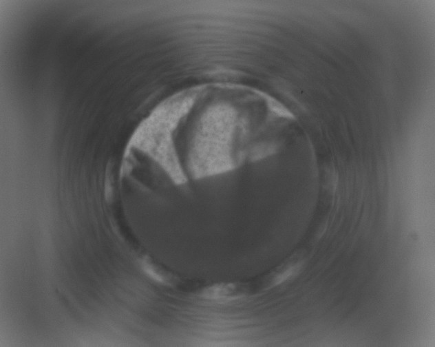 X0000081390080200702090049