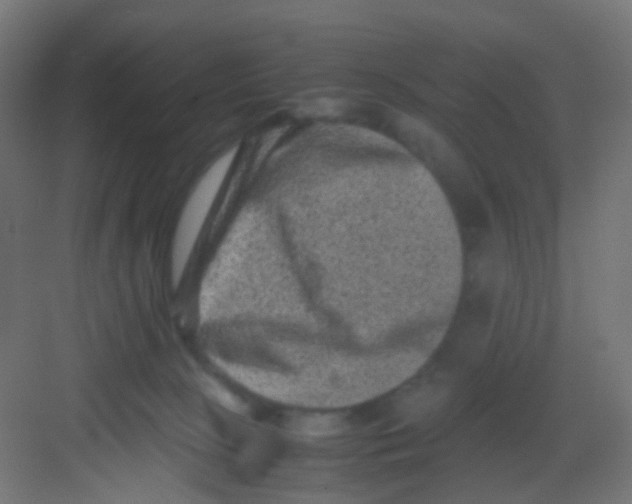 X0000081390081200702090049