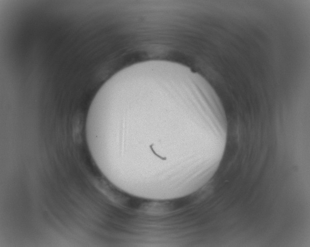 X0000081390082200702090049