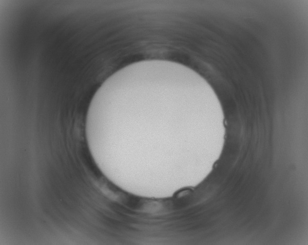 X0000081390083200702090049