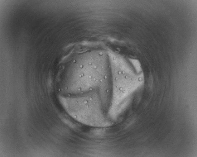 X0000081390084200702090049