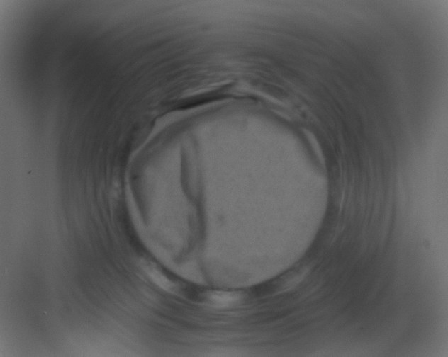 X0000081390085200702090049