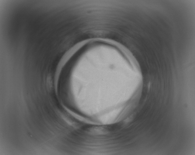 X0000081390086200702090049