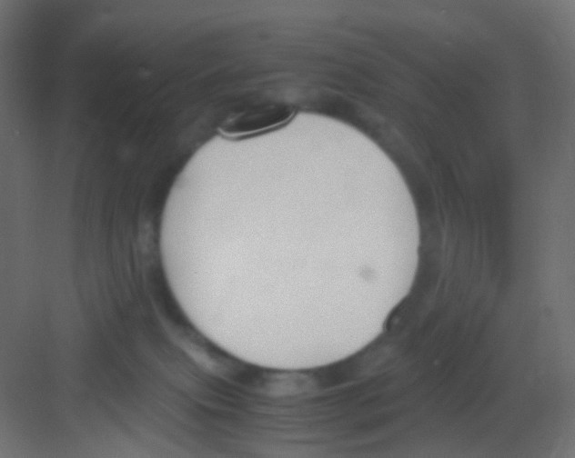 X0000081390087200702090049