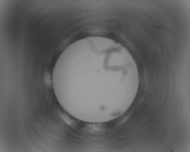 X0000081390089200702090049