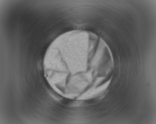 X0000081390090200702090049