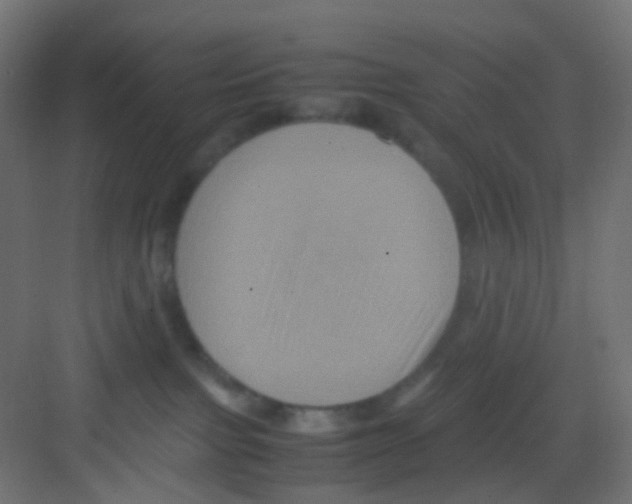 X0000081390091200702090049