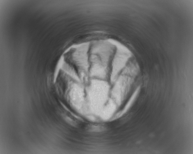 X0000081390093200702090049