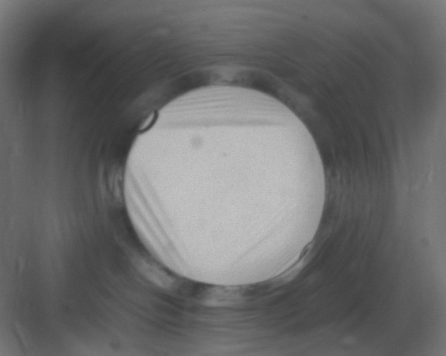 X0000081390094200702090049