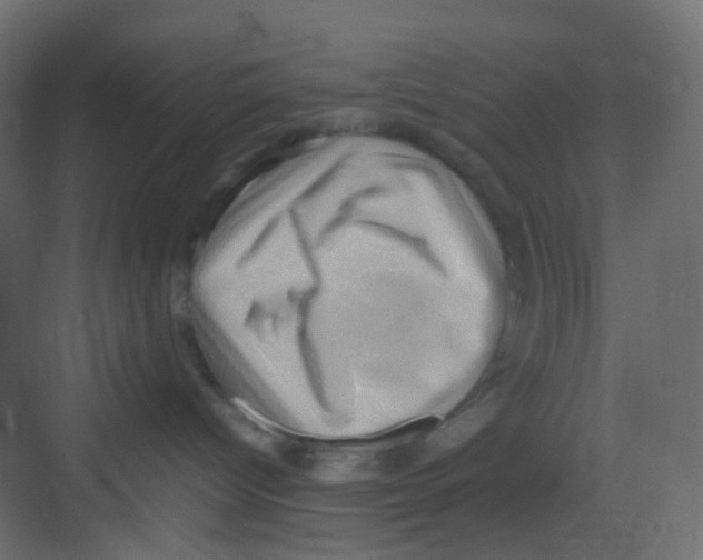 X0000081390096200702090049