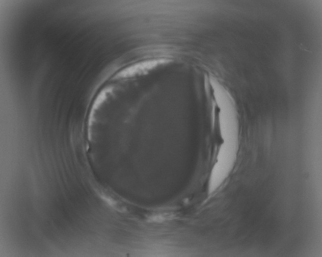 X0000081390099200702090048