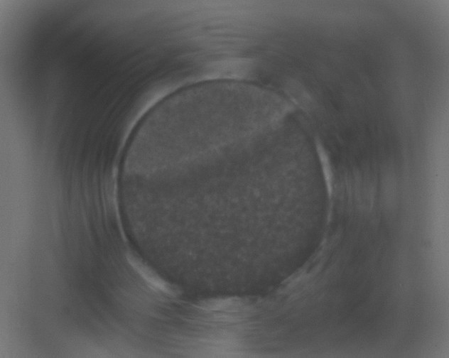 X0000081390100200702090048