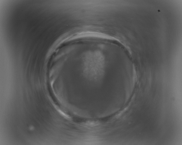 X0000081390101200702090048