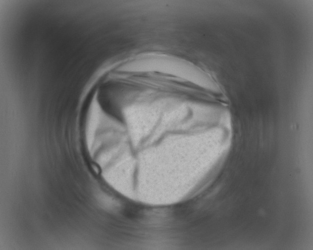 X0000081390102200702090048