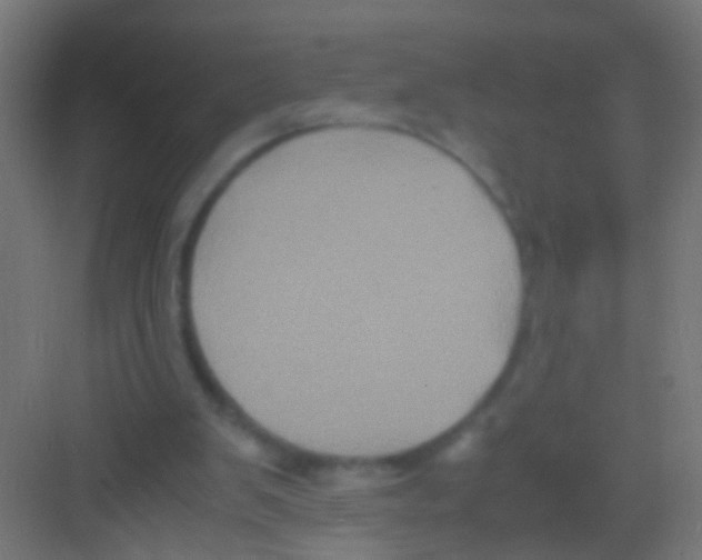 X0000081390103200702090048