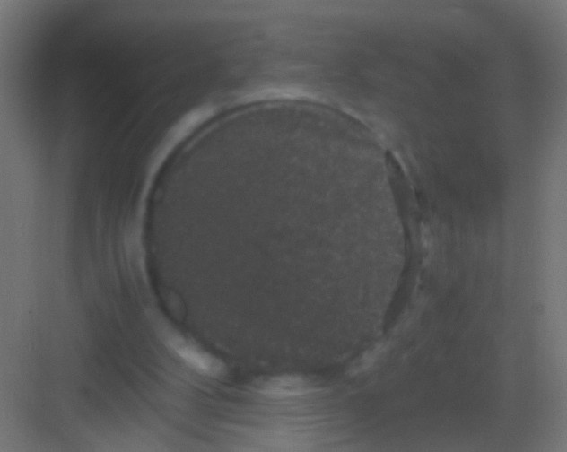 X0000081390104200702090048