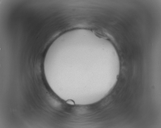 X0000081390106200702090048