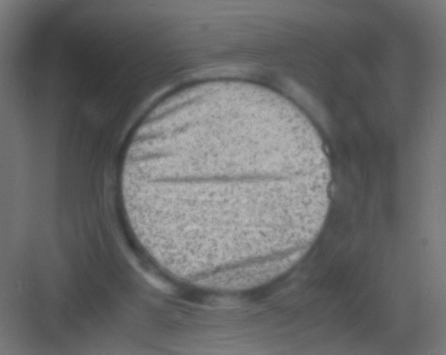 X0000081390107200702090048