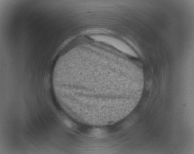 X0000081390111200702090048