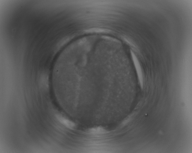 X0000081390112200702090048