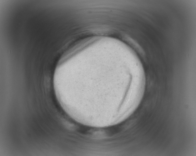 X0000081390113200702090048