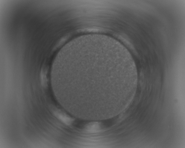 X0000081390116200702090048