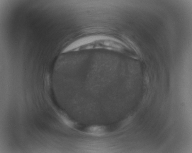 X0000081390117200702090048