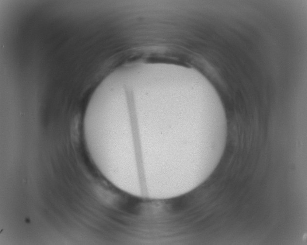 X0000081390118200702090048