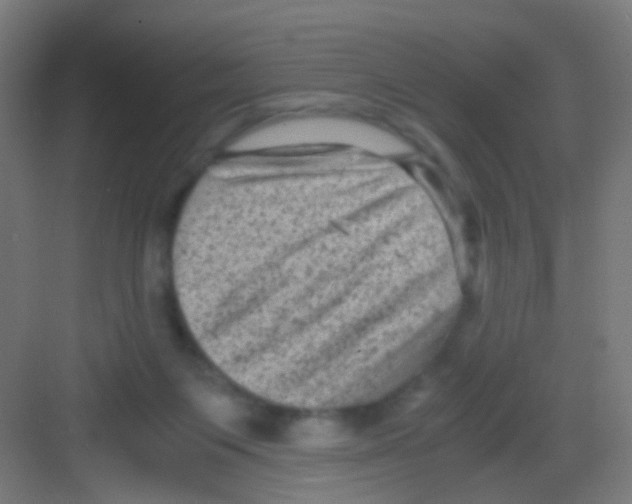 X0000081390119200702090048