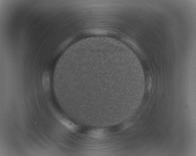 X0000081390120200702090048