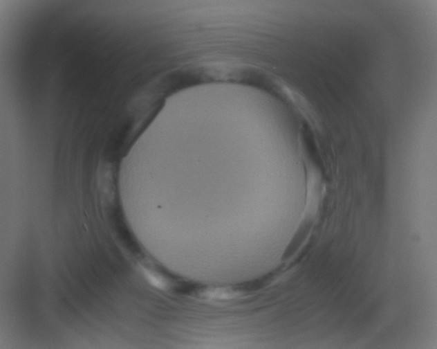 X0000081390121200702090048