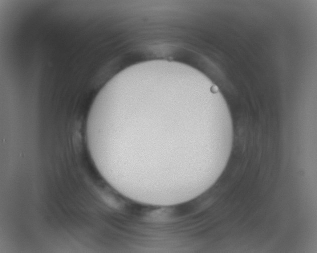 X0000081390122200702090048