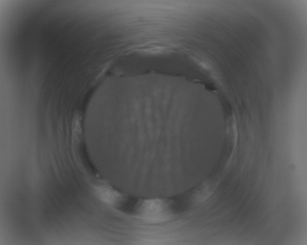 X0000081390127200702090048