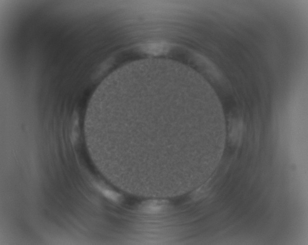 X0000081390128200702090048