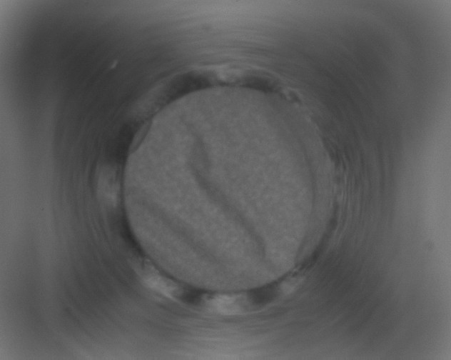 X0000081390129200702090048