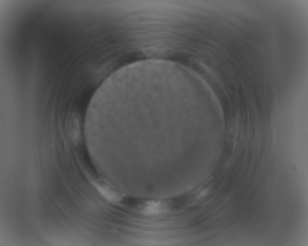 X0000081390130200702090048