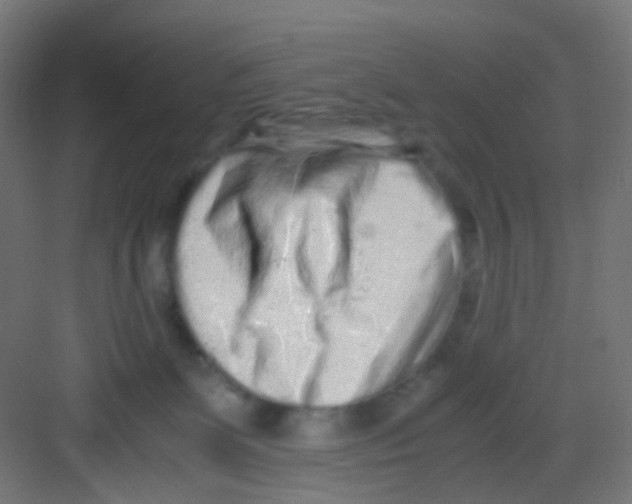 X0000081390131200702090048